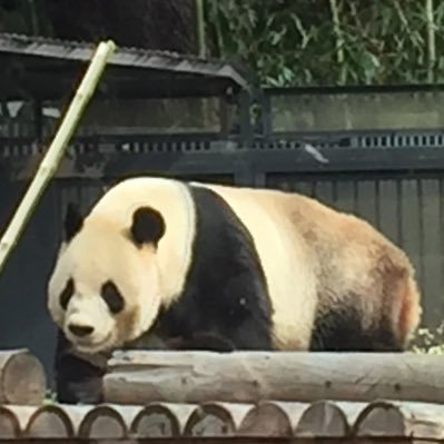 bbbb_zzz_bbb's profile picture. 