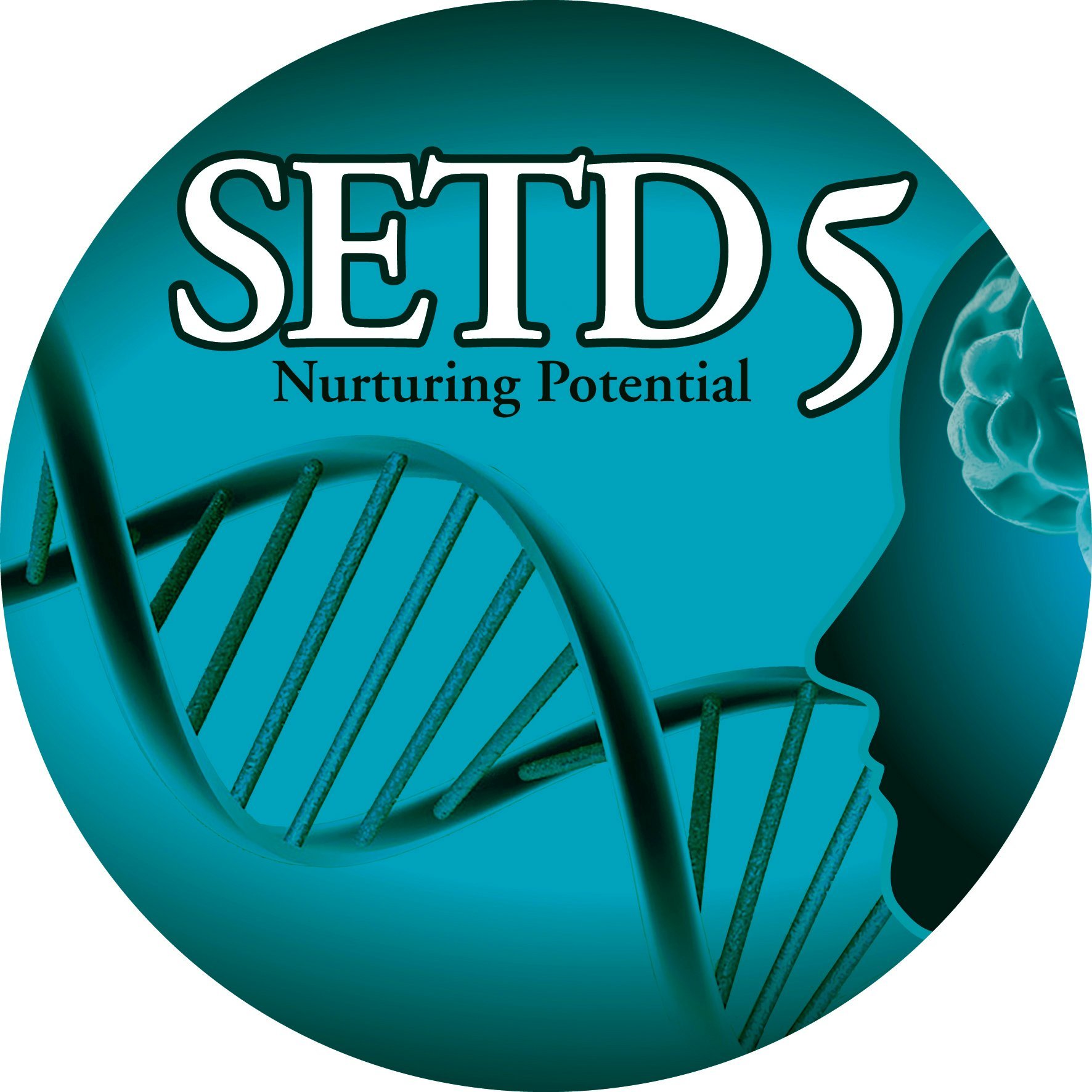 SETD 5 Microdeletion Syndrome Critical Region. Intellectual & Physical Disability. Genetic Protein Coding on DNA/RNA affecting Human Brain & Chromosomes.