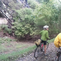 Kathryn D Temple (@templekathryn) 's Twitter Profile