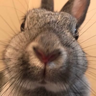 1118taiyou1's profile picture. 負けじ魂大好き❤︎前へ！前へ！先生と共に！