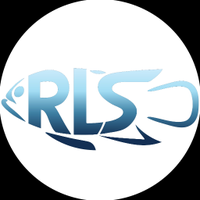 Reef Life Survey (@reeflifesurvey) 's Twitter Profile