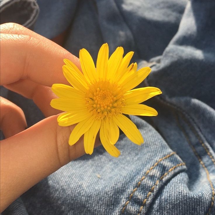 Dl3777's profile picture. 