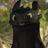 aleng's profile image