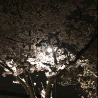 一 (@gjqsltwb5pb5fwp) Twitter profile photo