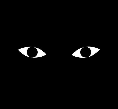 Graphic designer and illustrator from Vienna.
