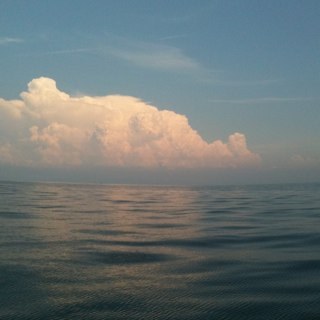 manta2010's profile picture. 