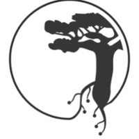 IndabaX Malawi (@indabaxm) 's Twitter Profile Photo IndabaX Malawi (@indabaxm) 's Twitter Profile Photo