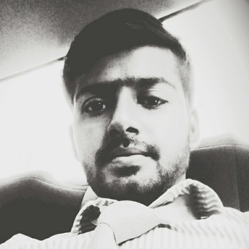 DavidAbsalom3's profile picture. Seo Expert