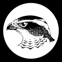 ShefBirdStudyGroup (@shefbirdstudy) 's Twitter Profile Photo ShefBirdStudyGroup (@shefbirdstudy) 's Twitter Profile Photo