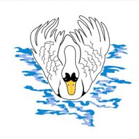 Swans RFC (@swansrfc) 's Twitter Profile