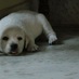 Pavan P (@thisispavanp) Twitter profile photo