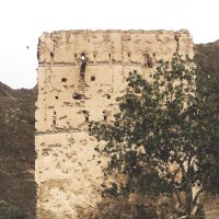 Desily| ديسلي (@desily1) 's Twitter Profile Photo