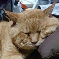 そー汰 (@118trm) Twitter profile photo
