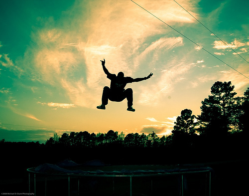 pet_apf's profile picture. 