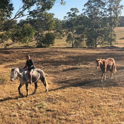 BWillmette's profile picture. My tweets are my views and may not be fact. Discretion advised