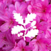 Stourhead (@ntstourhead) Twitter profile photo Stourhead (@ntstourhead) Twitter profile photo