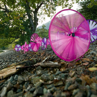 Cumbria Tourism (@golakesculture) 's Twitter Profile