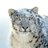 Spotlight78's profile image