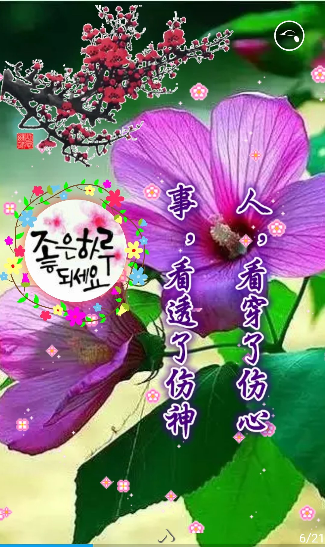 LusrEVpmEGip5Z9's profile picture. 