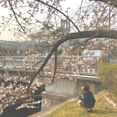 st810a's profile picture. もとこうなん