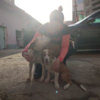 TrANNAdol (@sunshinableanna) 's Twitter Profile