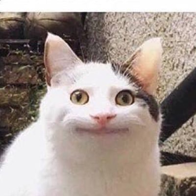 NateSuchanek's profile picture. 