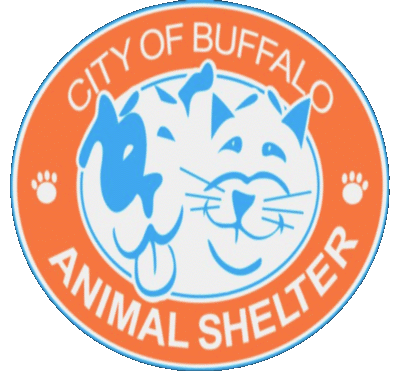 CBASpets's profile picture. CBAS gives injured, abused, lost, & abandoned animals food, care, shelter, & comfort before finding loving & responsible homes for them.