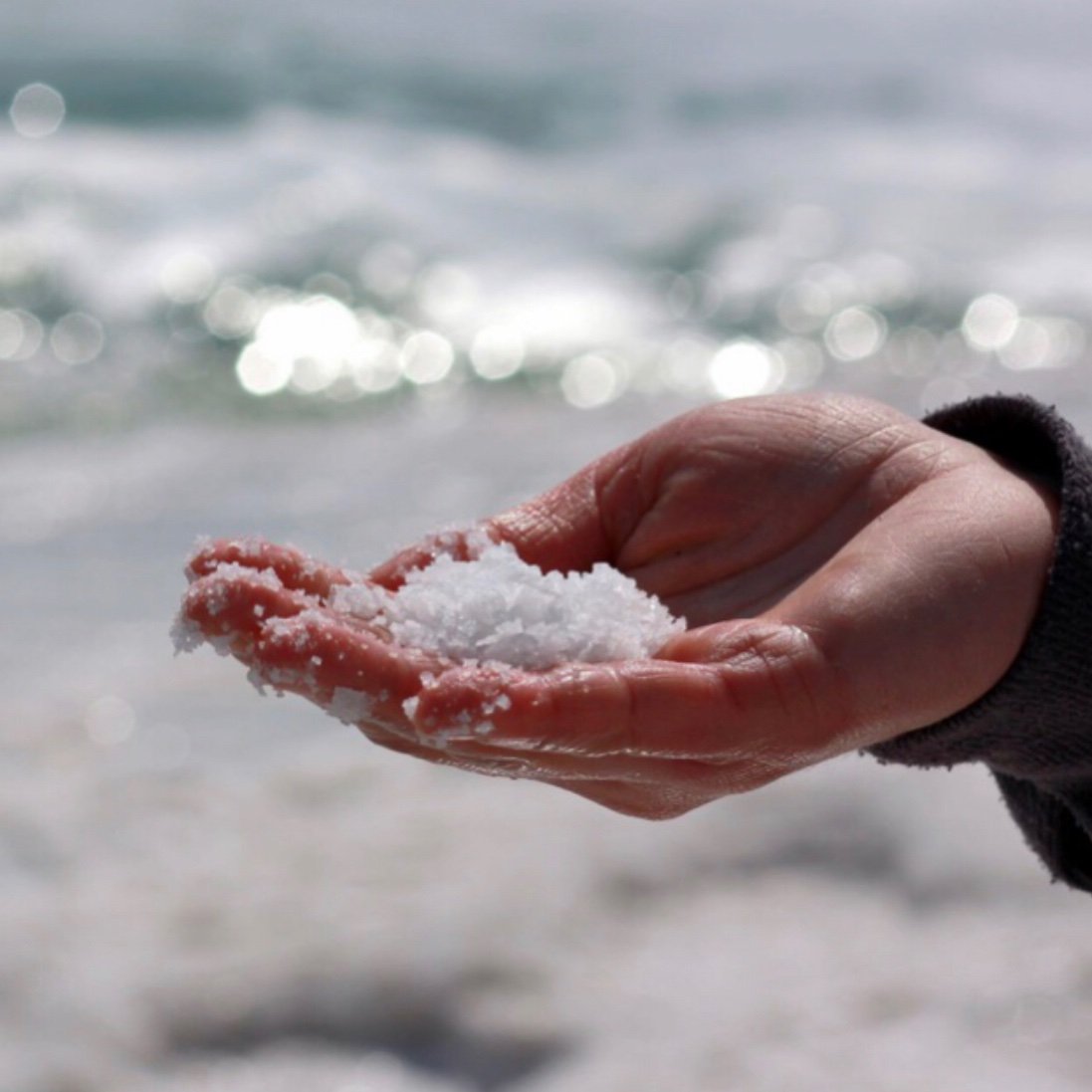 ocean5alt's profile picture. 