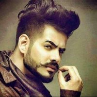 normaldude (@thevnesh1) 's Twitter Profile