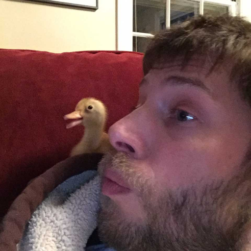 soldtoscience's profile picture. Rock Lobster