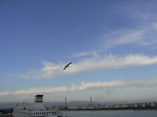 ros_flcl's profile picture. きまぐれにつぶやきます
ちんちんちん