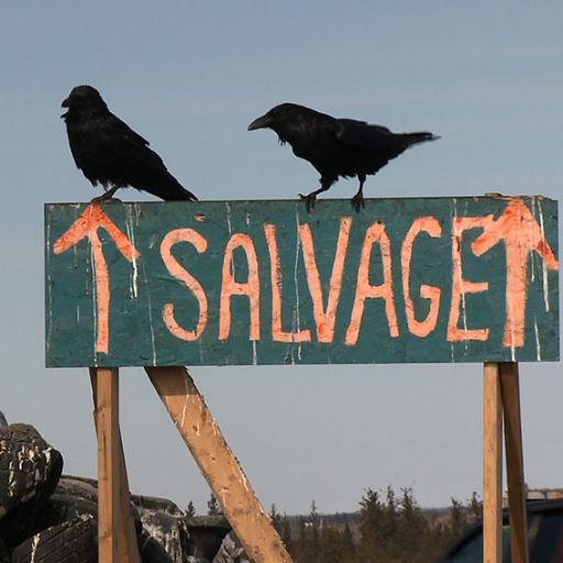 A documentary about finding trash, treasure & purpose at the Yellowknife dump. A film by Amy C. Elliott @AcePhotoNYC (Wicker Kittens, World’s Largest).