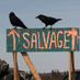 Salvage Movie (@salvagemovie) Twitter profile photo Salvage Movie (@salvagemovie) Twitter profile photo