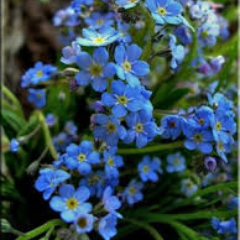 libra10151987's profile picture. りぶらくん。です。コレは趣味垢。( ´∀｀ ) ほぼリツイートのみ。たまに、なんか言います！（╹◡╹） ％♡ えと、相互の方でリムる時は、ブロックしてください！でないと、俺だけフォローになって、見苦しい人みたいですから！お願いします。おしまい！コロナ収まるまで、自粛に専念します。（╹◡╹）