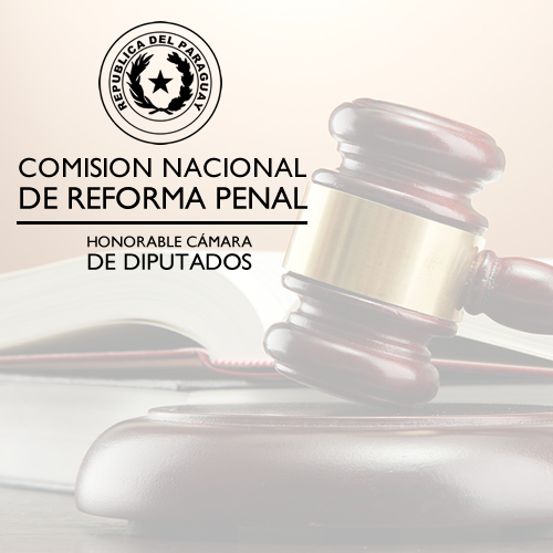 Cuenta oficial de la Comisión Nacional para el Estudio de la Reforma del Sistema Penal y Penitenciario (CONAREP) - 2019.