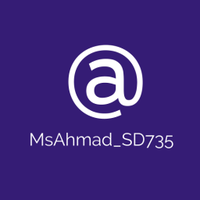 Ms. Ahmad(@MsAhmad_SD735) 's Twitter Profileg