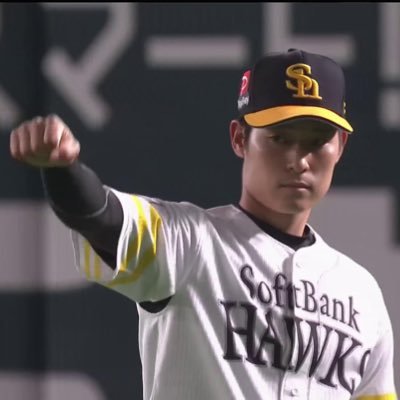 プロ野球バーサスやってます。ホークスファンなのでホークス関連もツイートします。