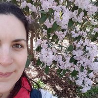 Stephanie Hladowski (@hladowski) 's Twitter Profile