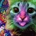 Acid Cat (@BreakinGatos) Twitter profile photo