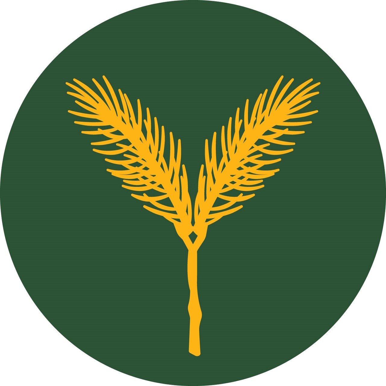 Yellow Spruce Roasters™ • Coffee Roasters