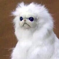 A twitter for my weird hobby where I write down my weird high thoughts down in this anonymous Twitter account. Maybe you know me? I apologize ahead of time.