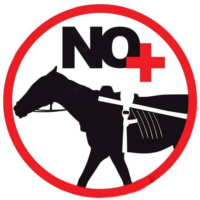 BastaDeTaSCamp's profile picture. Ni humanos Excluidos 
Ni Caballos esclavizados.