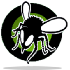 SEO, Internet Marketing, & Website Design in Since 1999