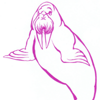 Nick Salafsky (@nsalafsky) 's Twitter Profile Photo