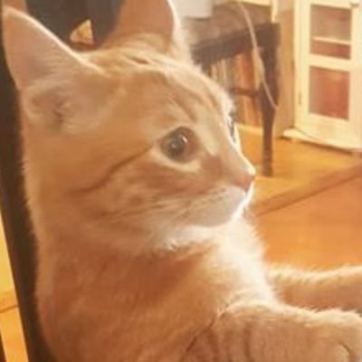 burrgeoijeeze's profile picture. ♎