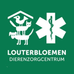 DIERENZORGCENTRUM LOUTERBLOEMEN Celsiusstraat 8, 3316 AC Dordrecht, T.078- 6137902, https://t.co/oBDiO4g5Md