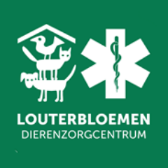 Louterbloemen Profile Picture