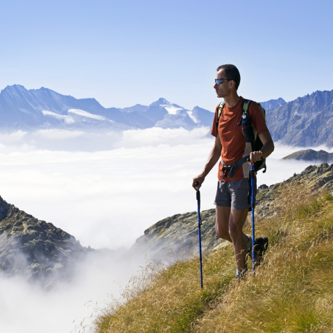 Eco-friendly hiker organics/, Andrew Ferguson /proprietor