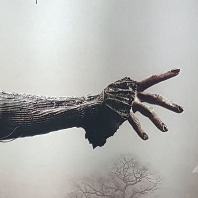 JoseMolina2k's profile picture. 