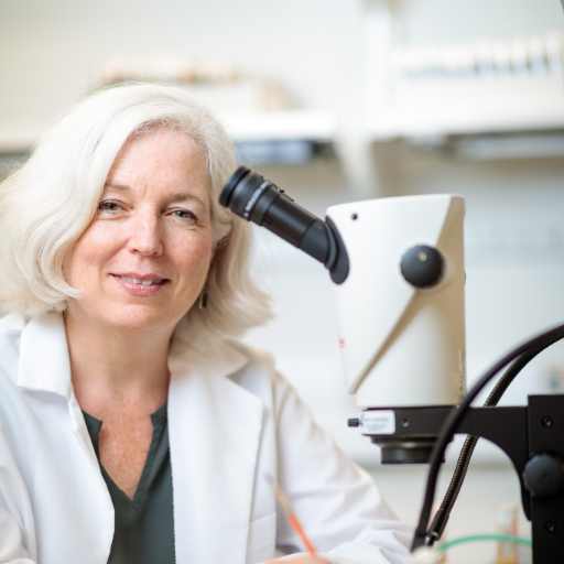 @McNeillLabWU